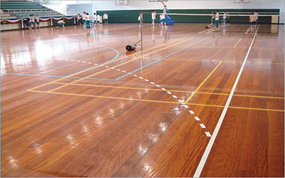 体育运动木地板